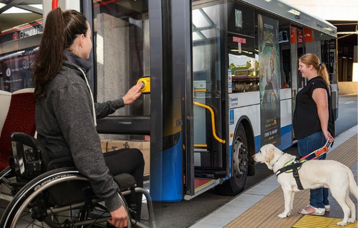 Disability Standards for Accessible Public Transport Consult