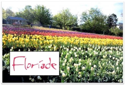 Floriade: Reimagined